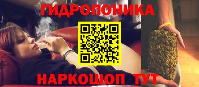 каннабис Гатчина