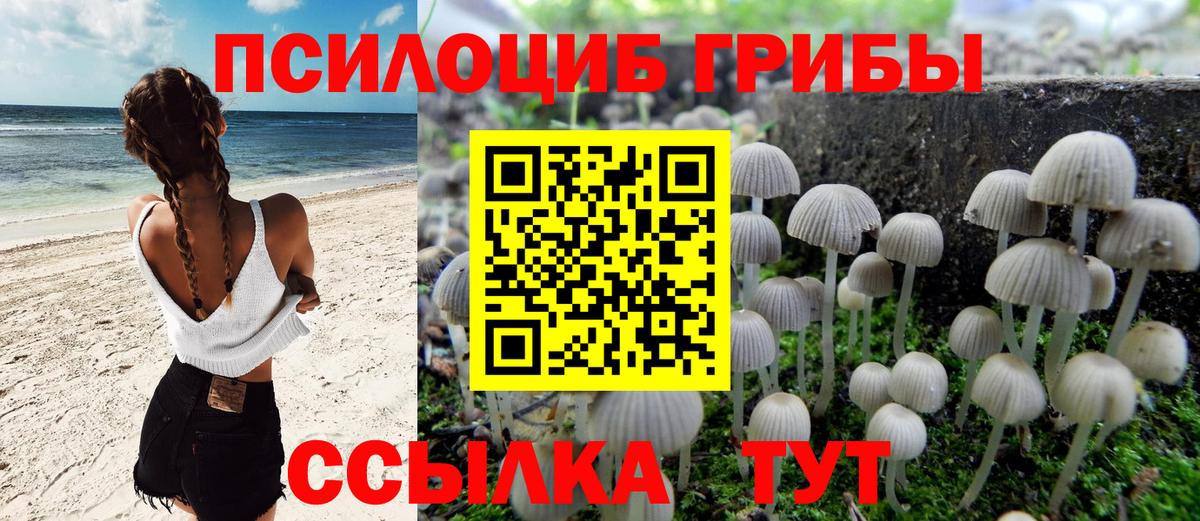Нарткала  Псилоцибиновые грибы Psilocybine cubensis  Псилоцибиновые грибы Magic Shrooms  Вход с VPN 